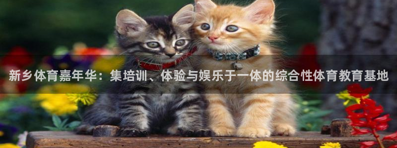 oety欧亿体育官网下载招商电话号码是多少号：新乡体育嘉年华