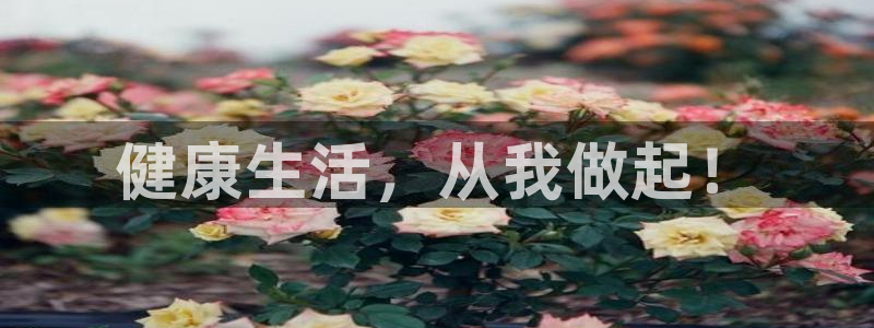 欧亿体育官方正版app集团E.ON：健康生活，从我做起！
