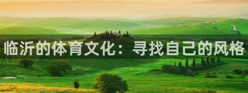 oety欧亿体育官网下载平台：临沂的体育文化：寻找自己的风格