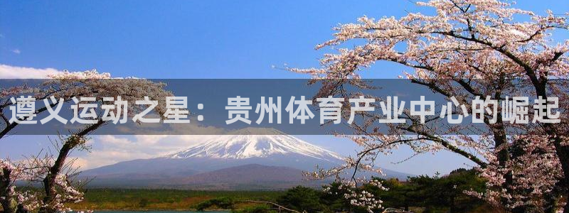 欧亿体育官方正版app代理：遵义运动之星：贵州体育产