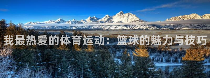 欧亿体育官方正版app代理：我最热爱的体育运动：篮球