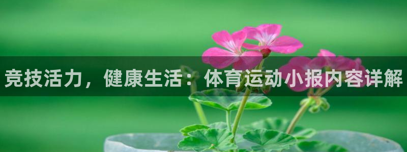 欧亿体育官方正版app娱乐首页官网下载：竞技活力，健