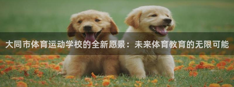 欧亿体育官方正版app科技：大同市体育运动学校的全新