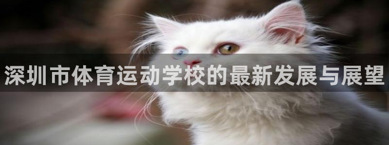 oety欧亿体育官网下载招商电话是多少：深圳市体育运