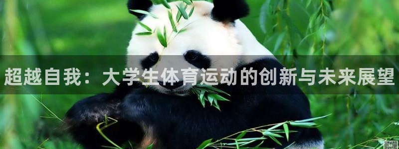 oety欧亿体育官网下载注册：超越自我：大学生体育运