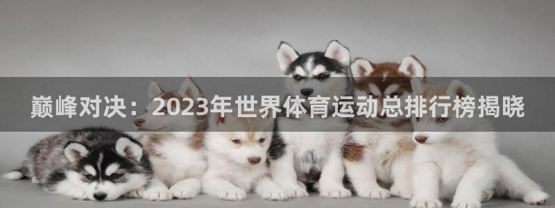 oety欧亿体育官网下载招商电话：巅峰对决：2023年世界体