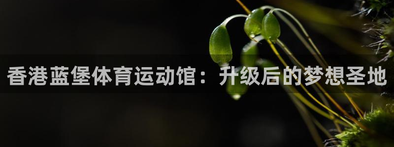  欧亿app官方下载最新版：香港蓝堡体育运动馆：升级后的梦想圣