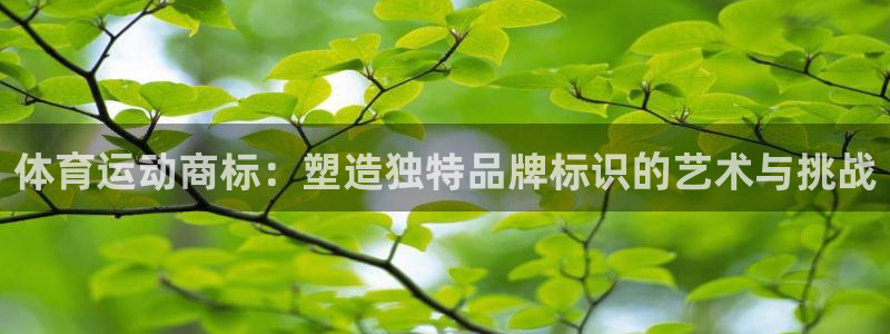 oe欧亿登陆：体育运动商标：塑造独特品牌标识的艺术与挑战