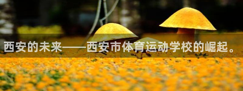欧亿app官方下载v6.1.39：西安的未来——西安市体育运